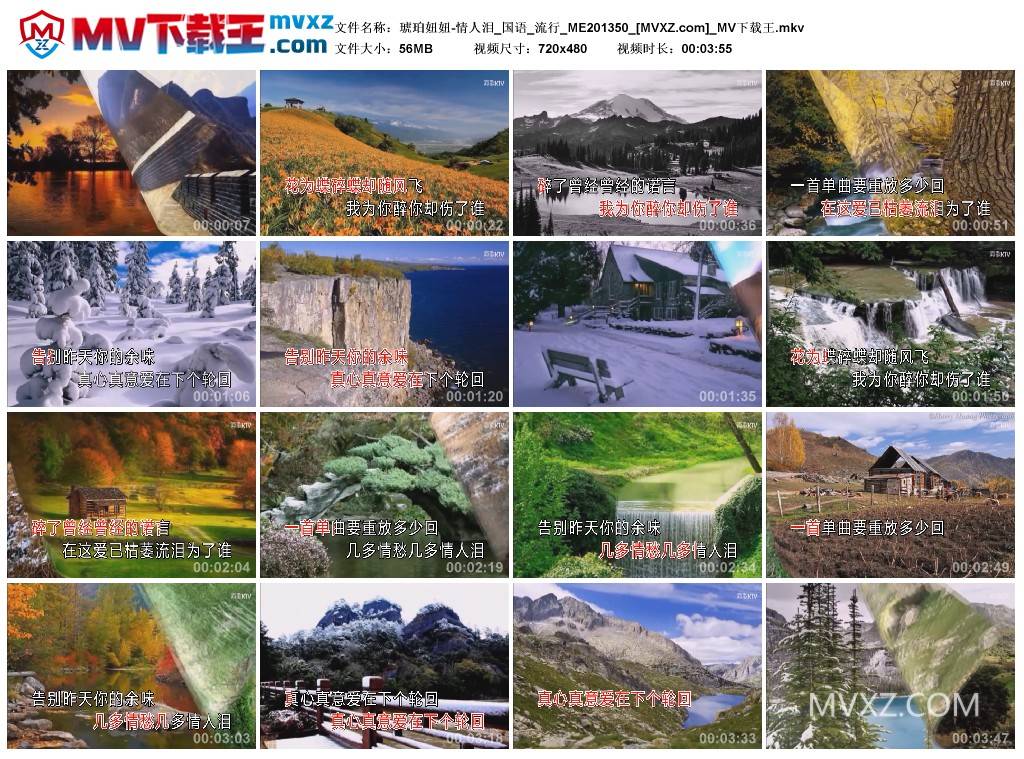 琥珀妞妞-情人泪_国语_流行_ME201350
